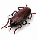 Electric Vibrating Cockroach Toy – Realistic Prank Insect